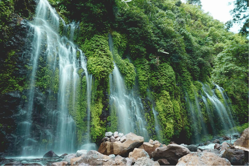 joychi qigong gratis oefeningen waterval